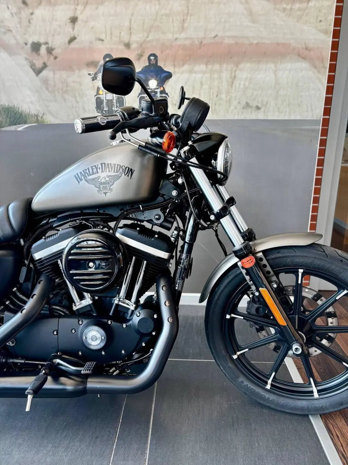 Harley-Davidson 883 Iron (2017 - 20) - XL 883N (3)