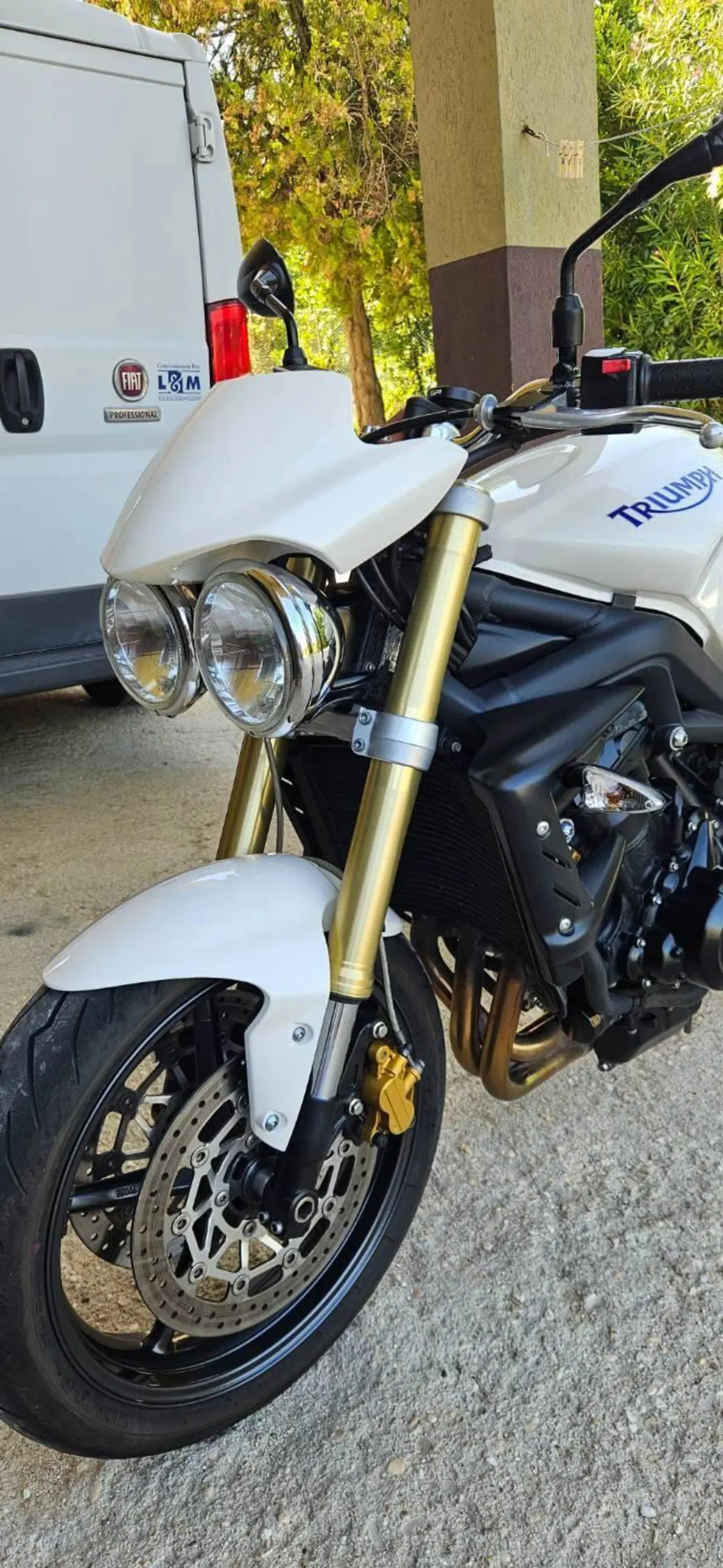 Triumph Street Triple R (2009 - 12) (3)
