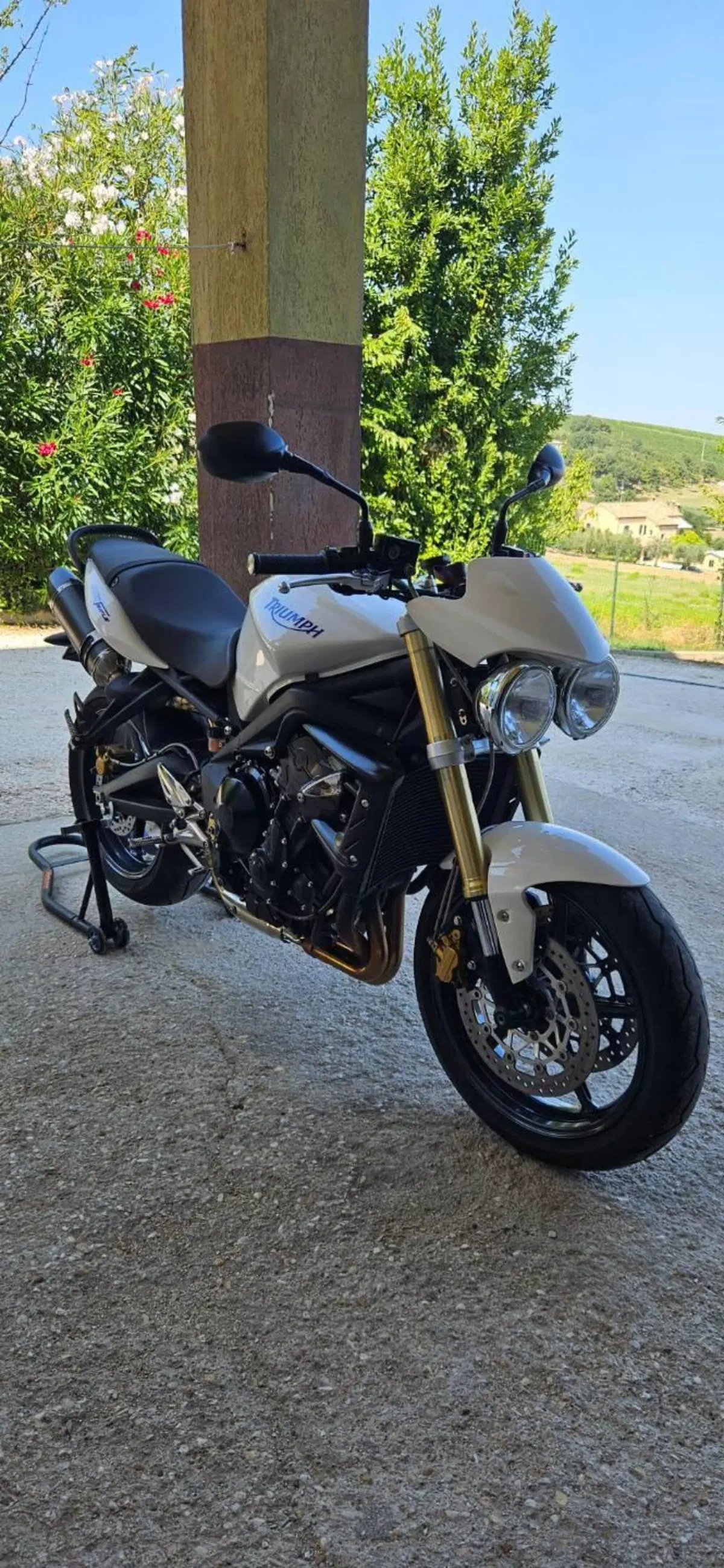 Triumph Street Triple R (2009 - 12) (6)