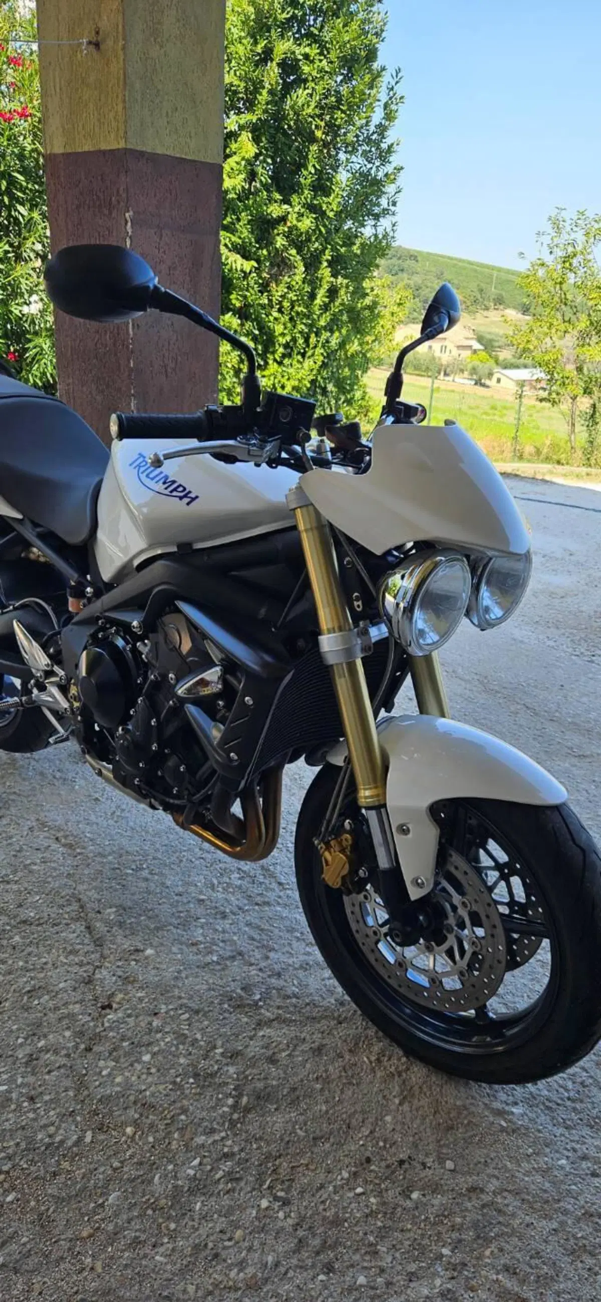 Triumph Street Triple R (2009 - 12) (8)
