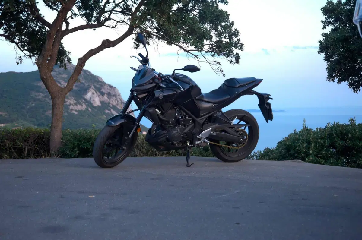 Yamaha MT-03 (2020) (3)