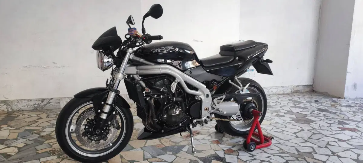 Triumph Speed triple 955i (14)