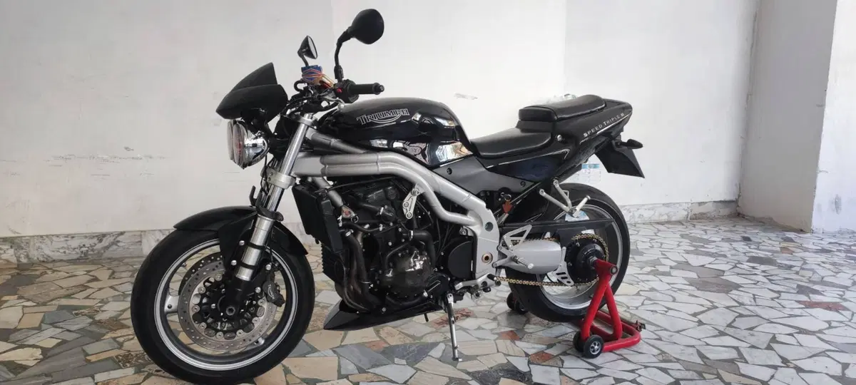 Triumph Speed triple 955i (17)
