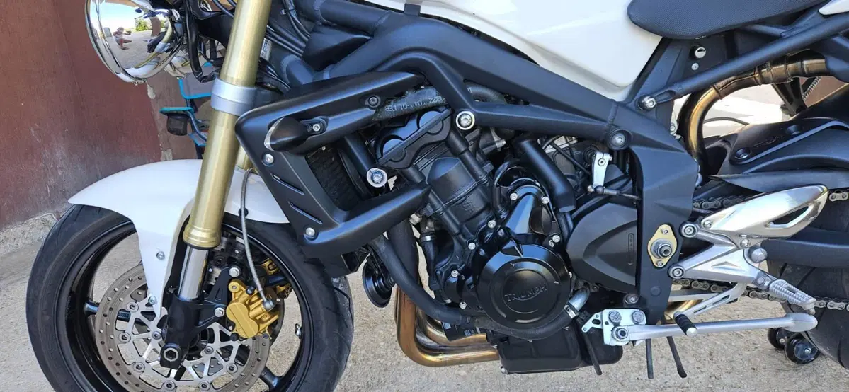 Triumph Street Triple R (2009 - 12) (14)