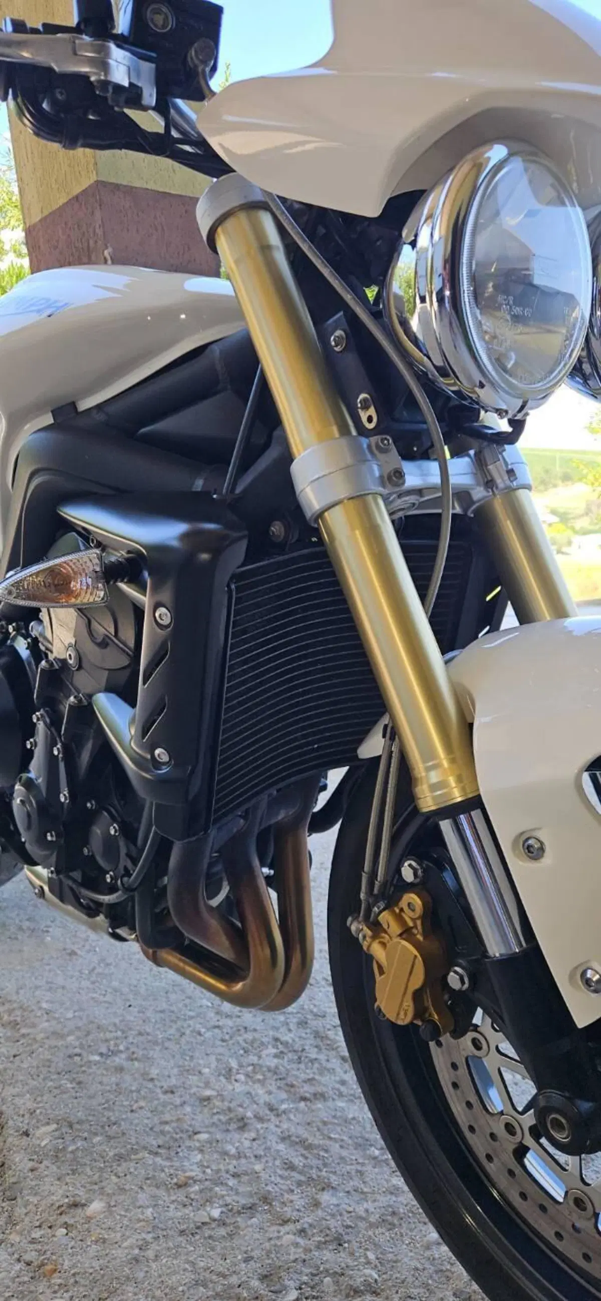 Triumph Street Triple R (2009 - 12) (16)