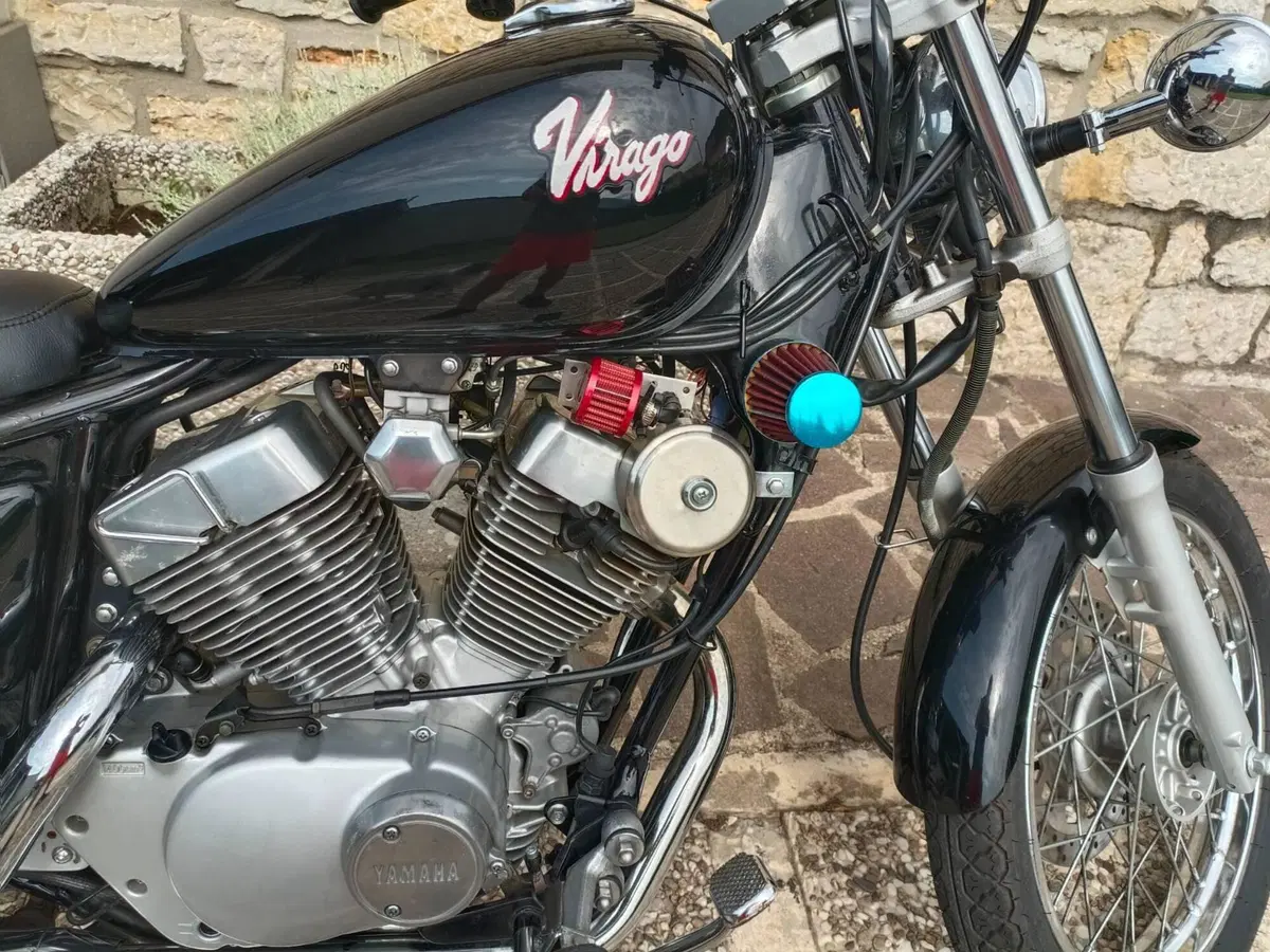 Yamaha XV 250 S Virago (1994 - 01) (5)