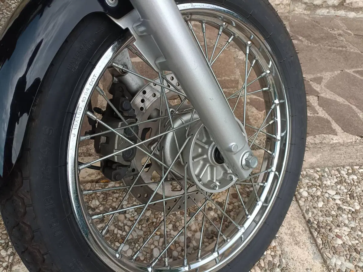 Yamaha XV 250 S Virago (1994 - 01) (6)