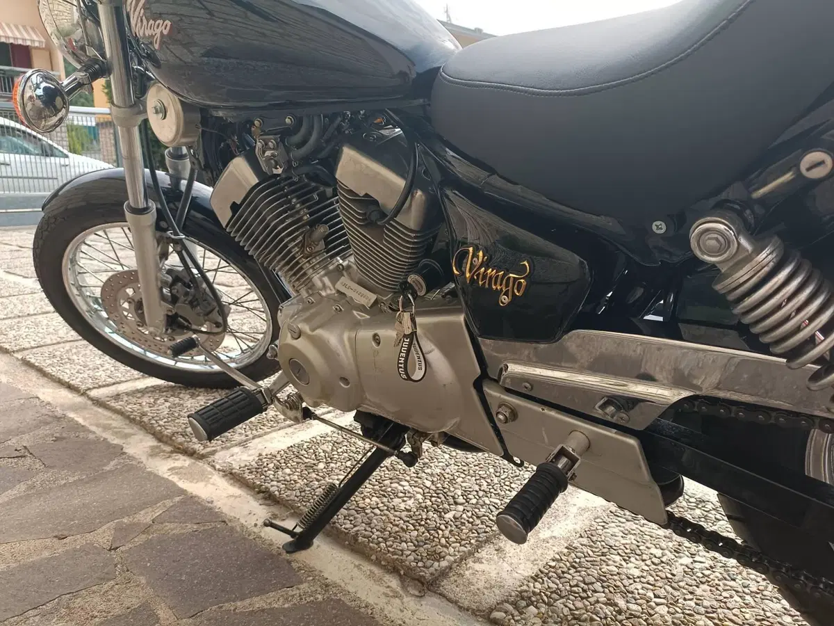 Yamaha XV 250 S Virago (1994 - 01) (8)
