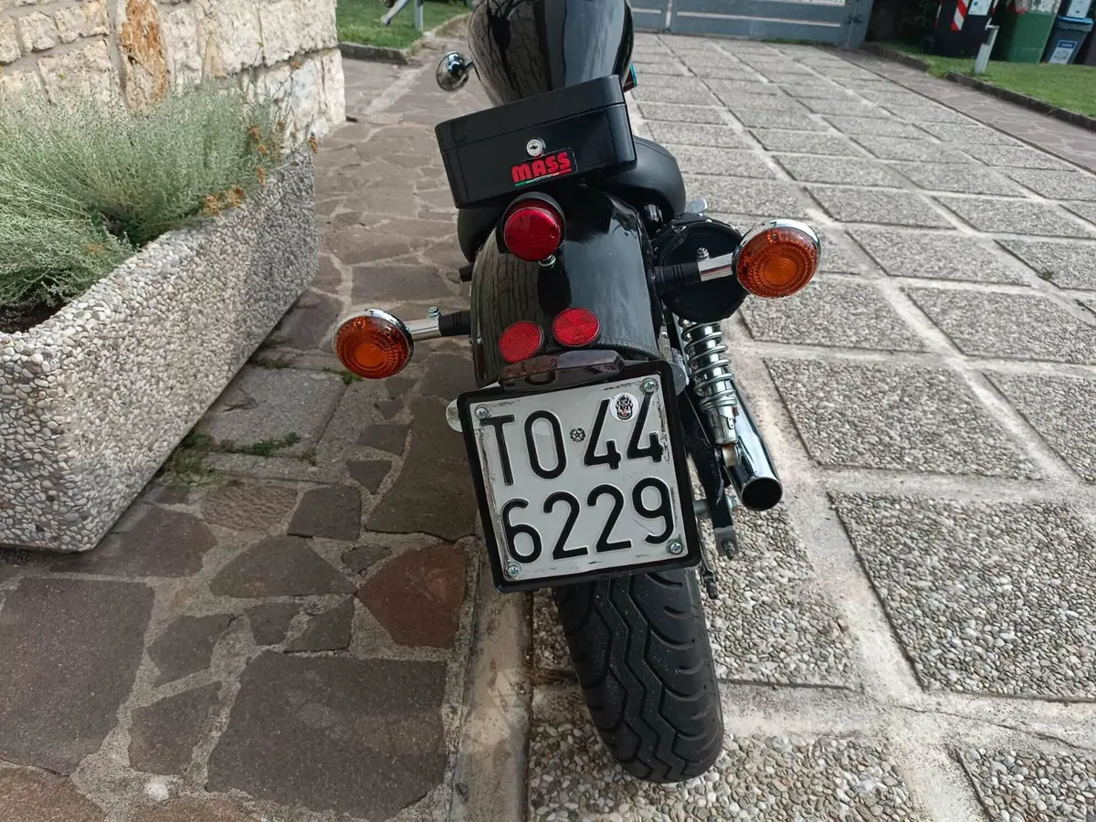 Yamaha XV 250 S Virago (1994 - 01) (9)