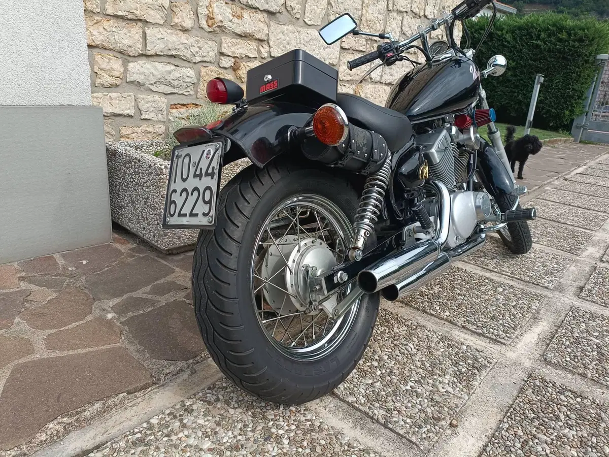 Yamaha XV 250 S Virago (1994 - 01) (10)