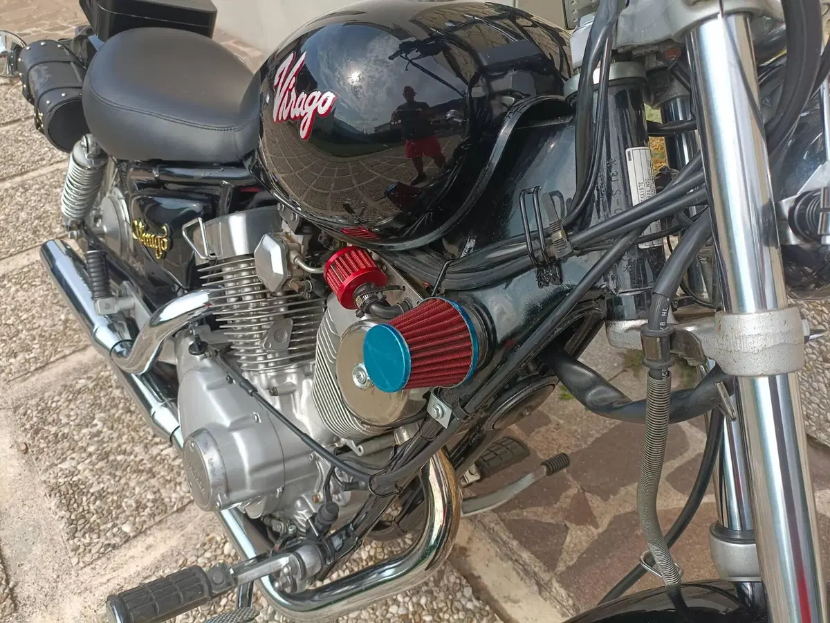 Yamaha XV 250 S Virago (1994 - 01) (12)