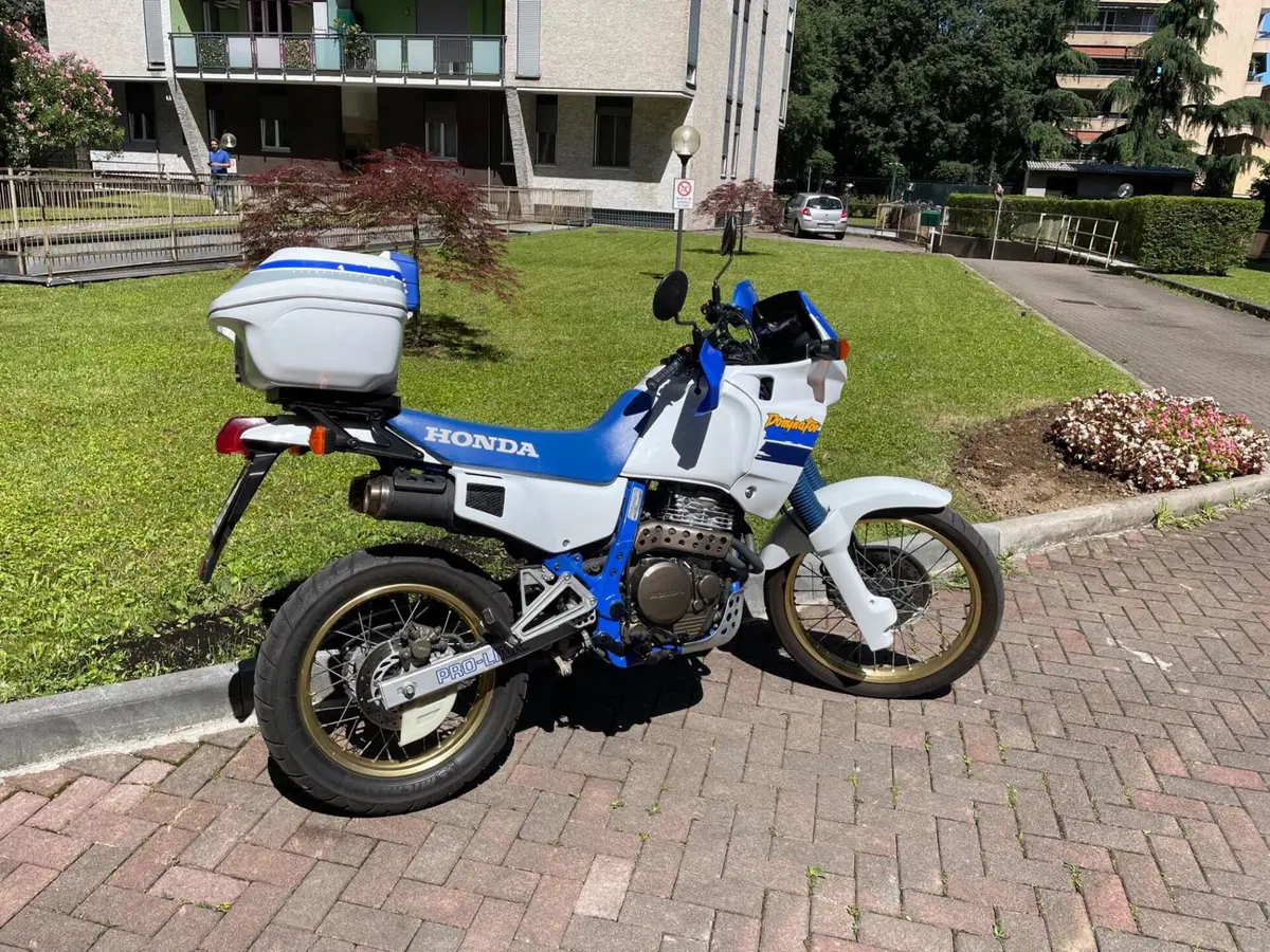 Honda NX 650 Dominator (1991 - 95)