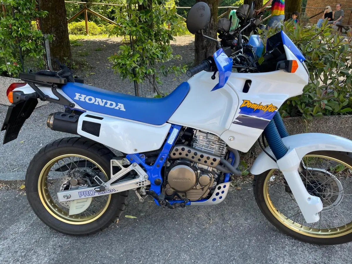 Honda NX 650 Dominator (1991 - 95) (2)