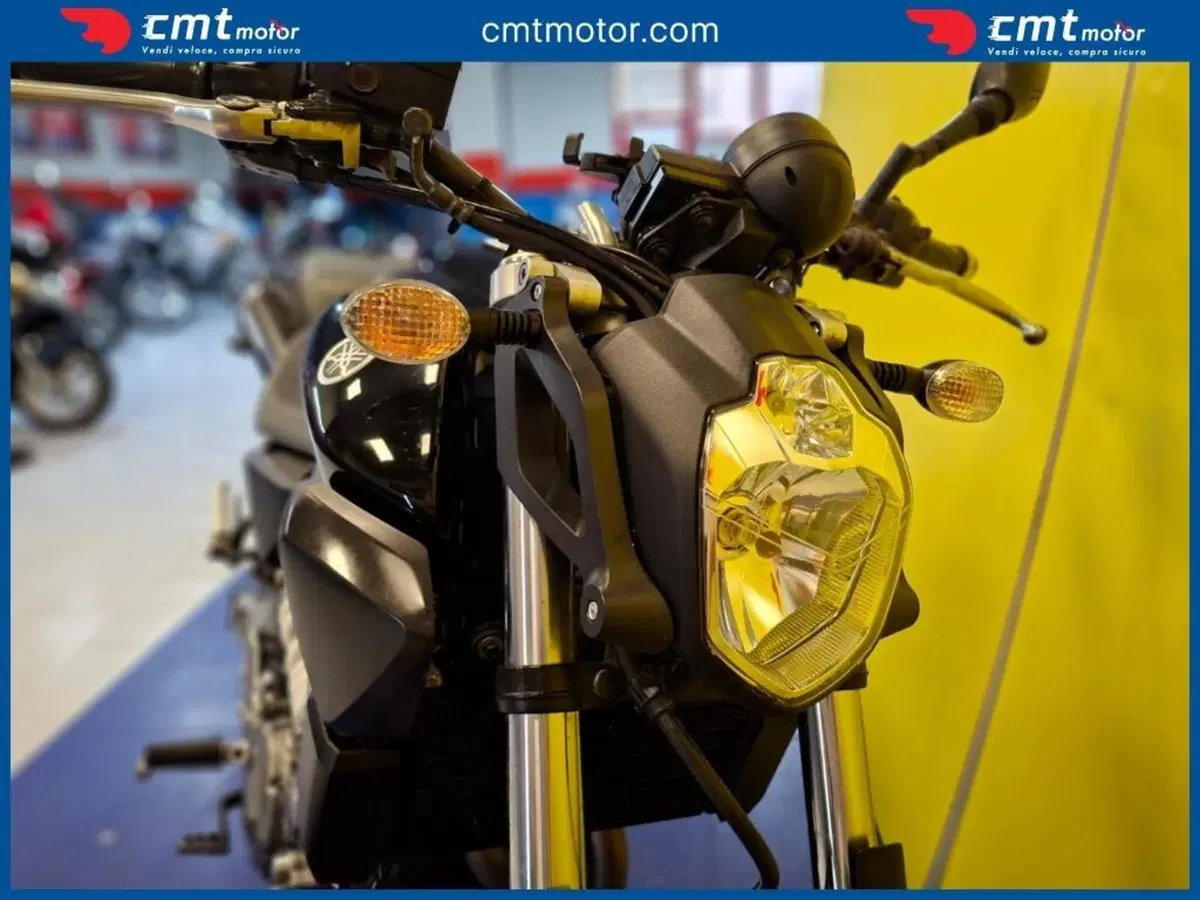 Yamaha MT-03 (2006 - 14) (7)