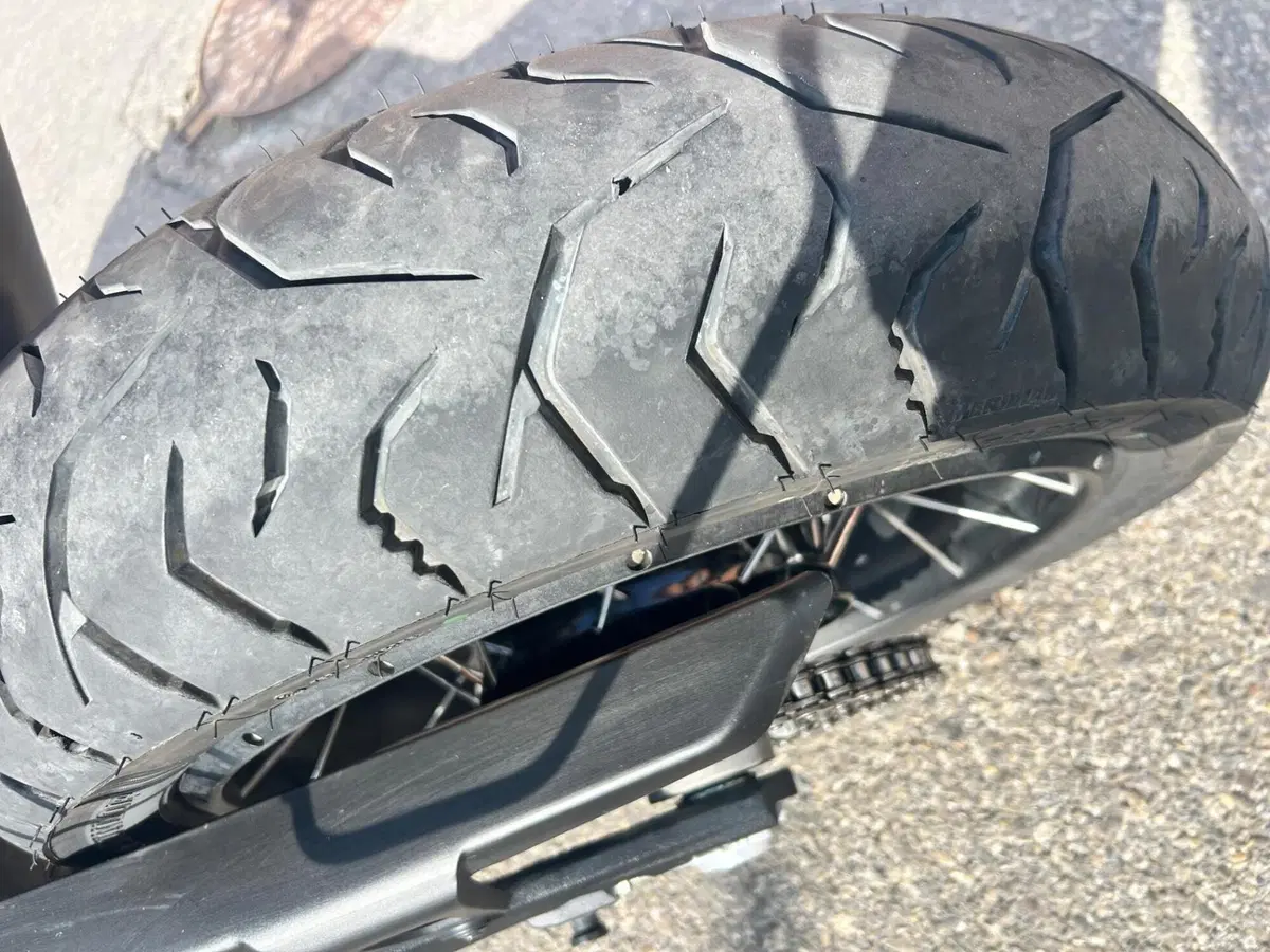 Ducati DesertX (2022 - 25) (12)