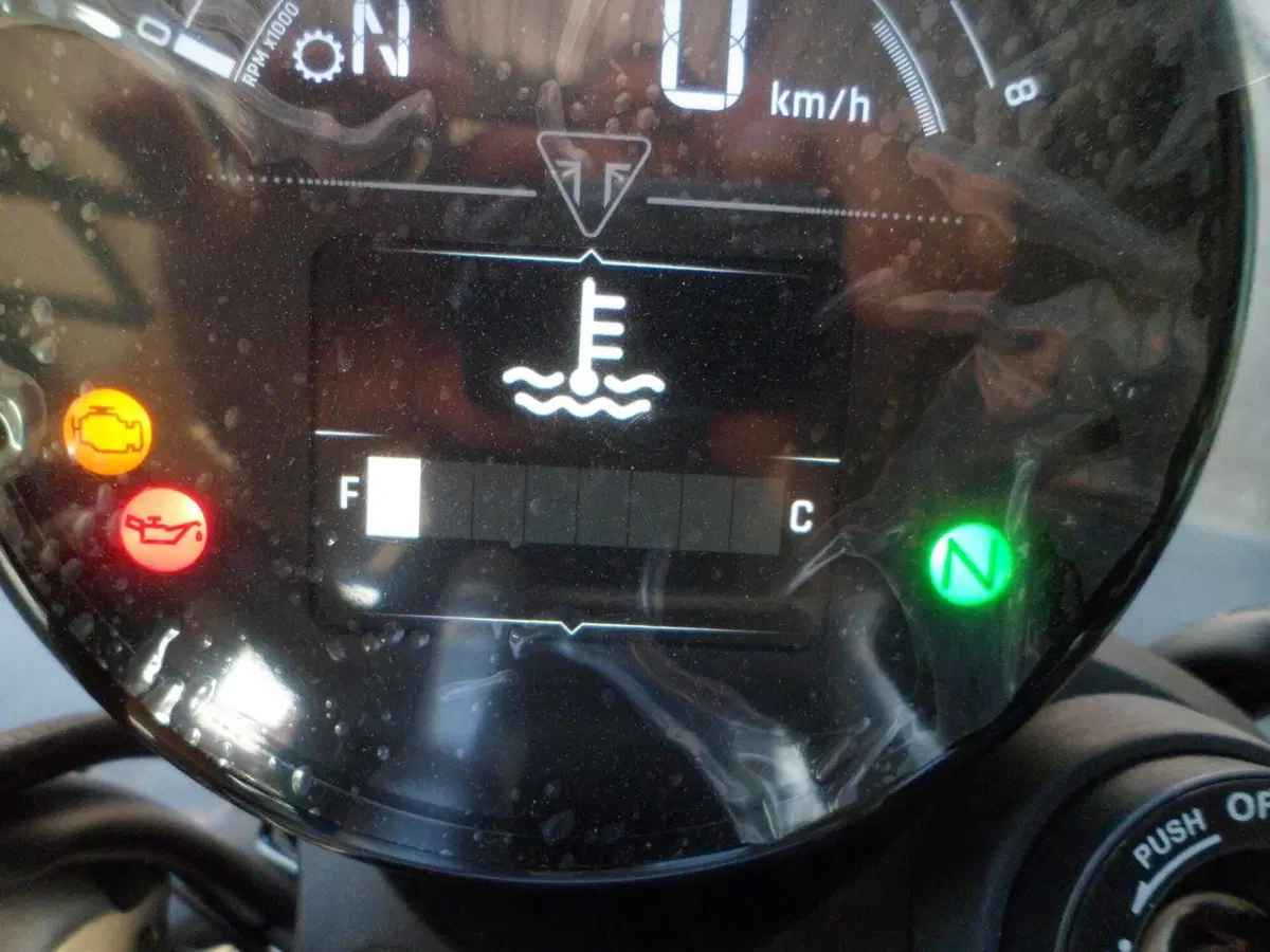 Triumph Speed Twin 1200 (2025 - 26) (6)