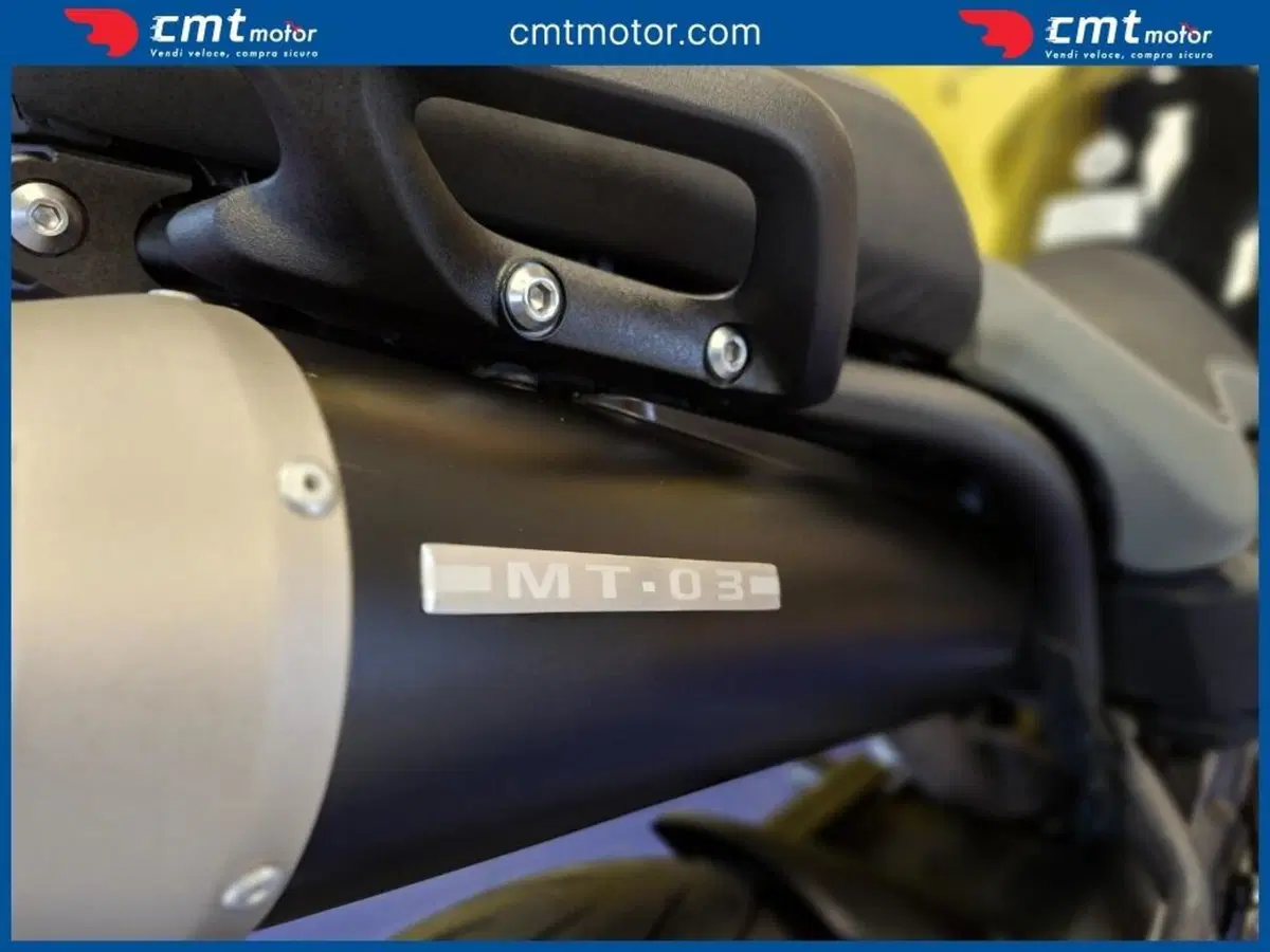Yamaha MT-03 (2006 - 14) (11)
