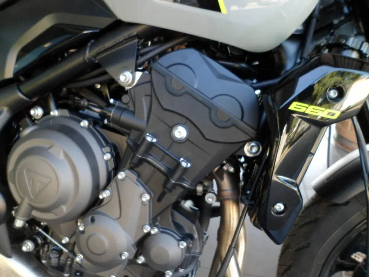 Triumph Trident 660 (2026) (9)