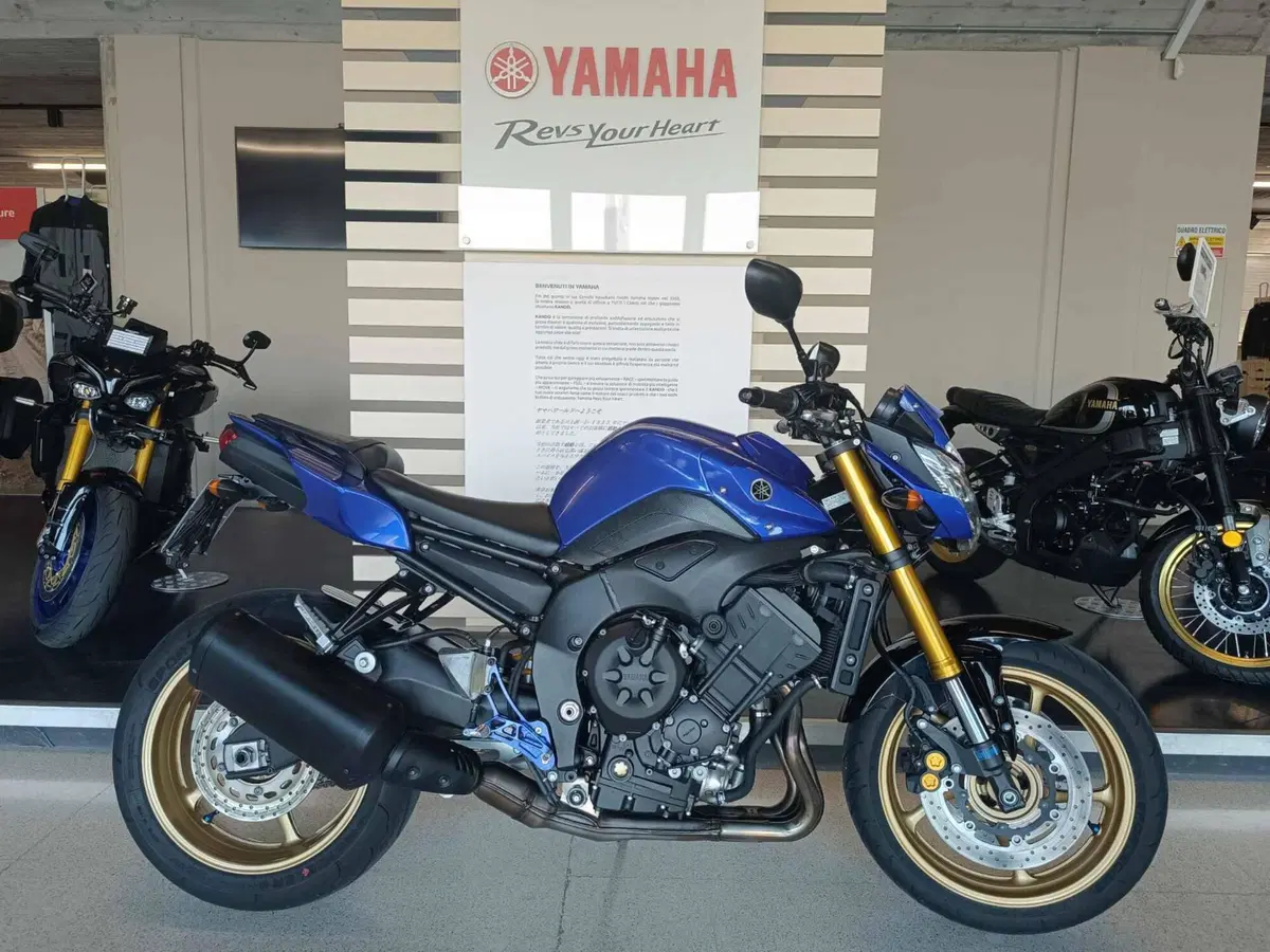 Yamaha FZ8 (2013 - 16)