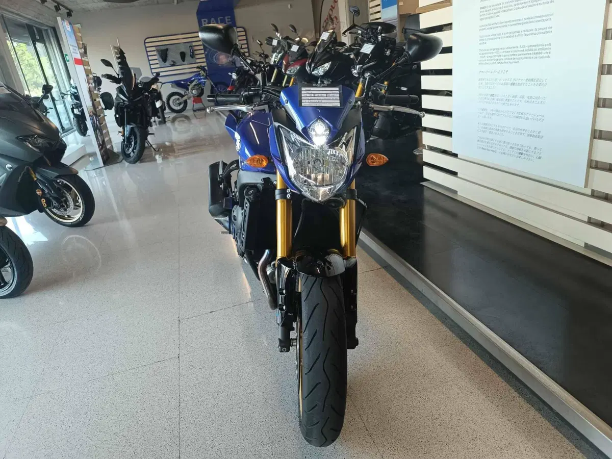 Yamaha FZ8 (2013 - 16) (2)