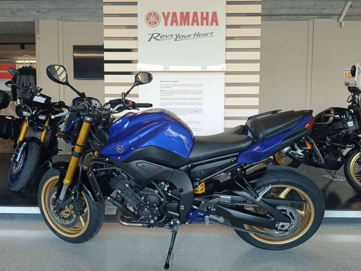 Yamaha FZ8 (2013 - 16) (5)