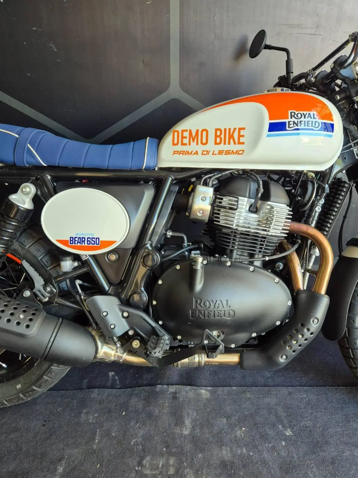 Royal Enfield Bear 650 (2025 - 26) (5)