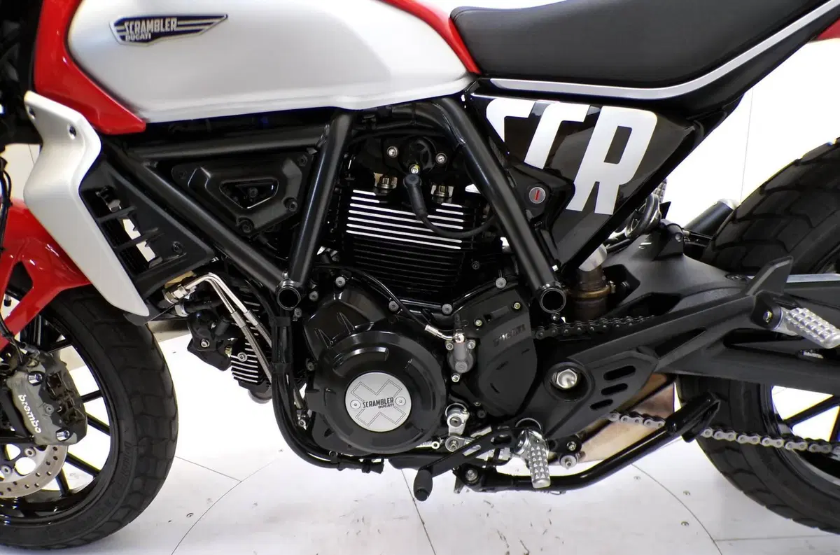 Ducati Scrambler 800 Icon (2023 - 24) (7)