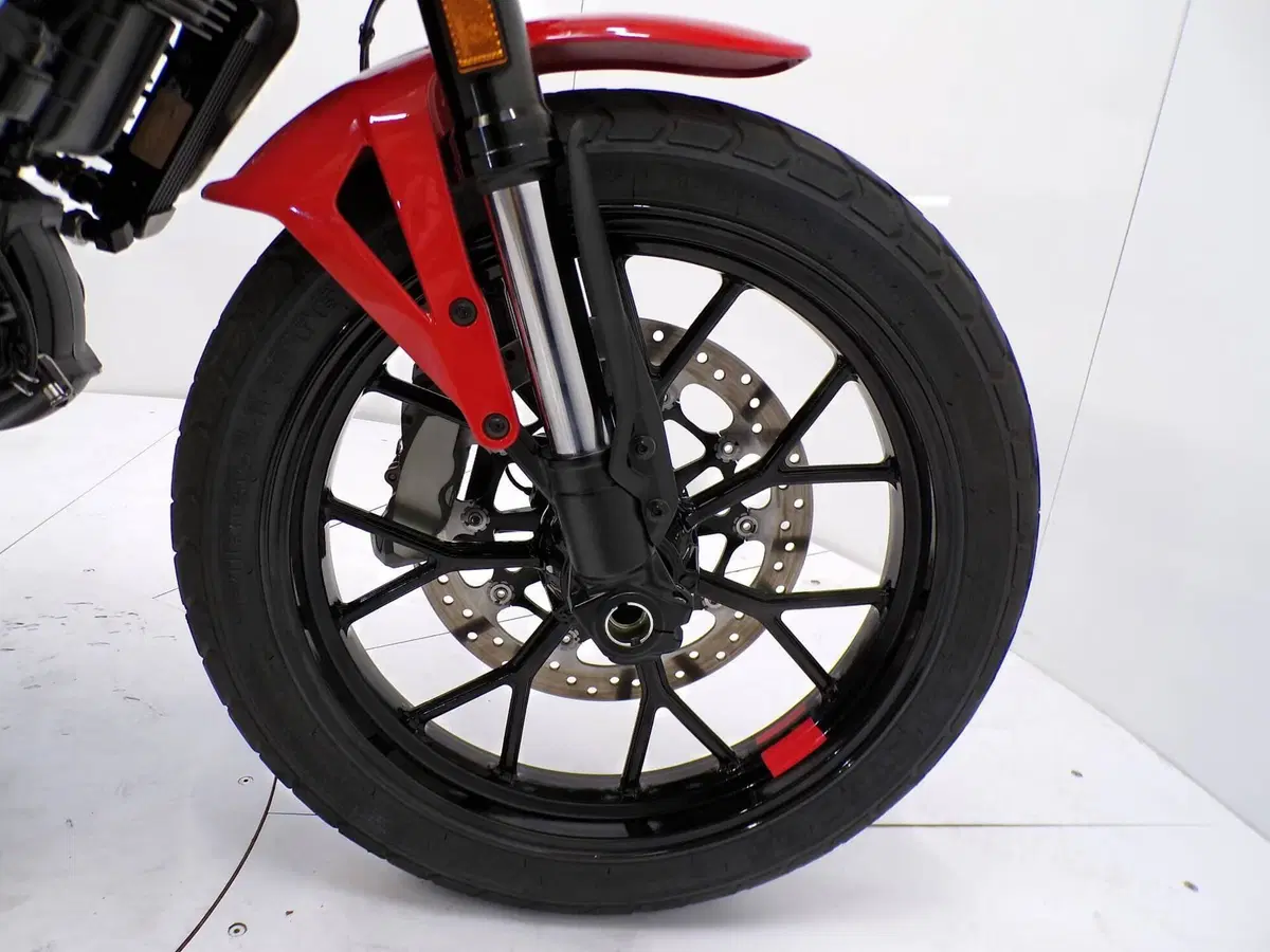 Ducati Scrambler 800 Icon (2023 - 24) (12)