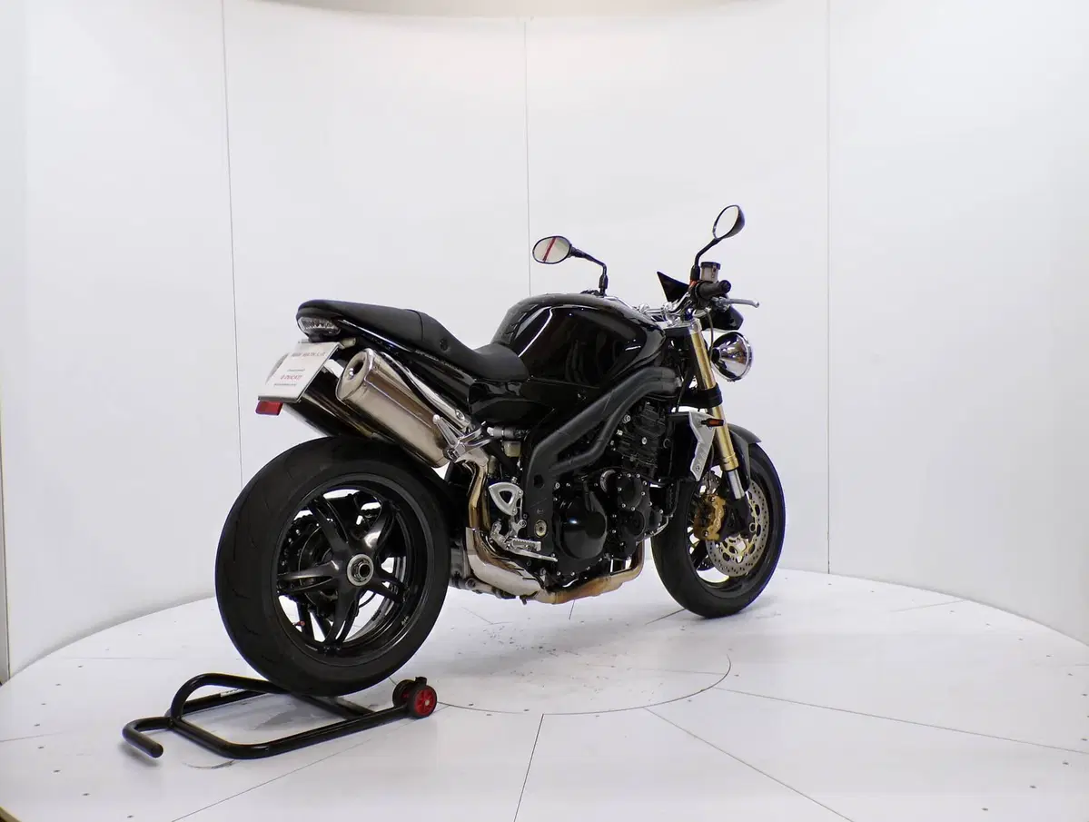 Triumph Speed Triple 1050 (2005 - 11) (6)