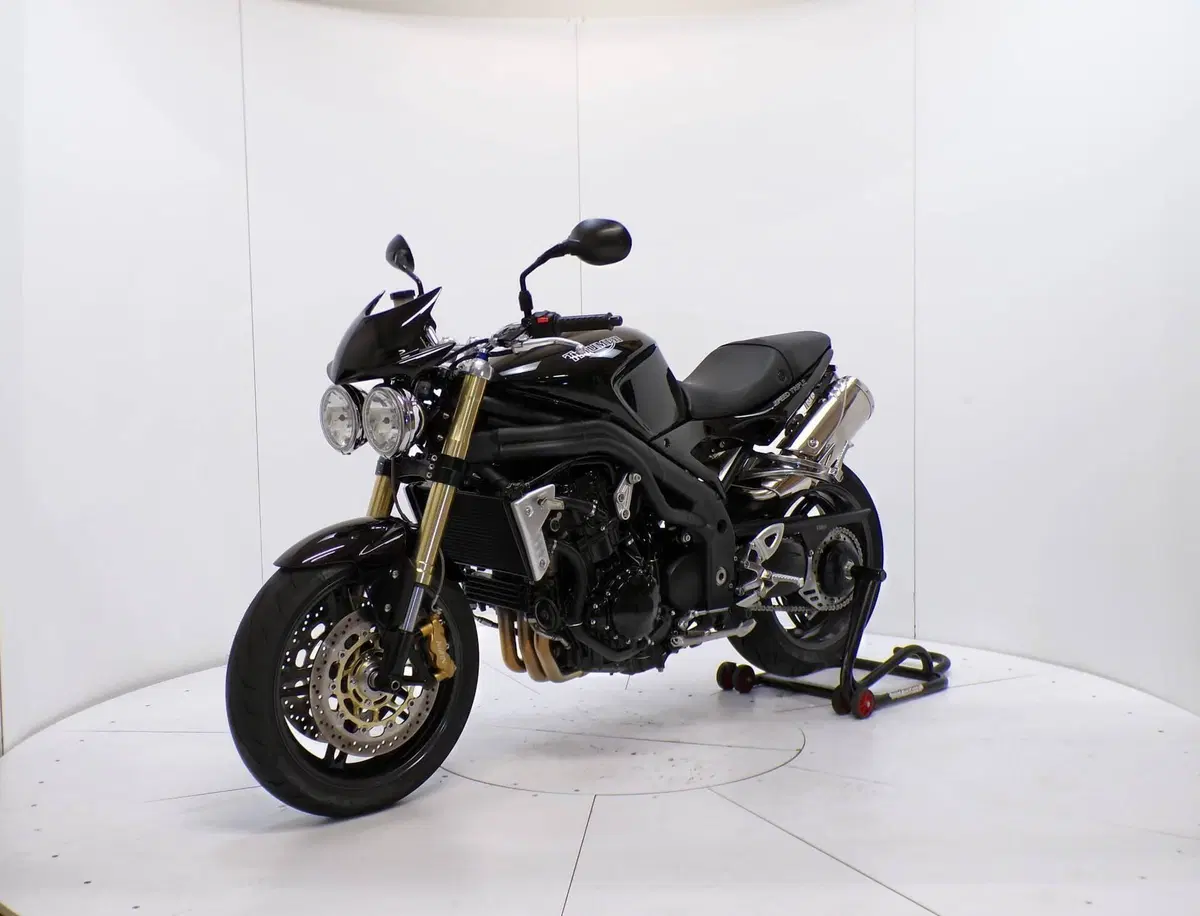 Triumph Speed Triple 1050 (2005 - 11) (3)