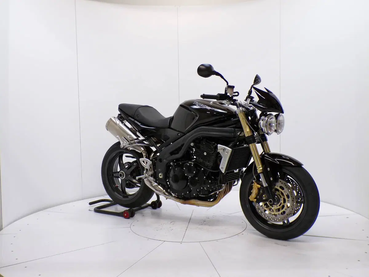 Triumph Speed Triple 1050 (2005 - 11) (2)