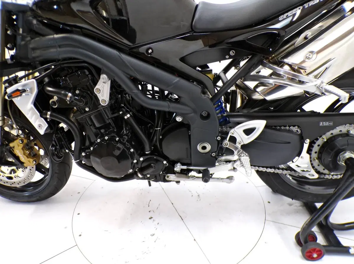 Triumph Speed Triple 1050 (2005 - 11) (7)
