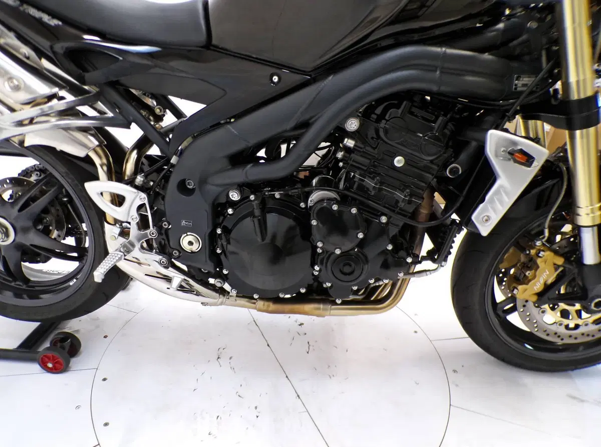 Triumph Speed Triple 1050 (2005 - 11) (8)