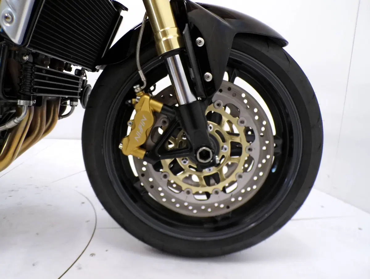 Triumph Speed Triple 1050 (2005 - 11) (12)