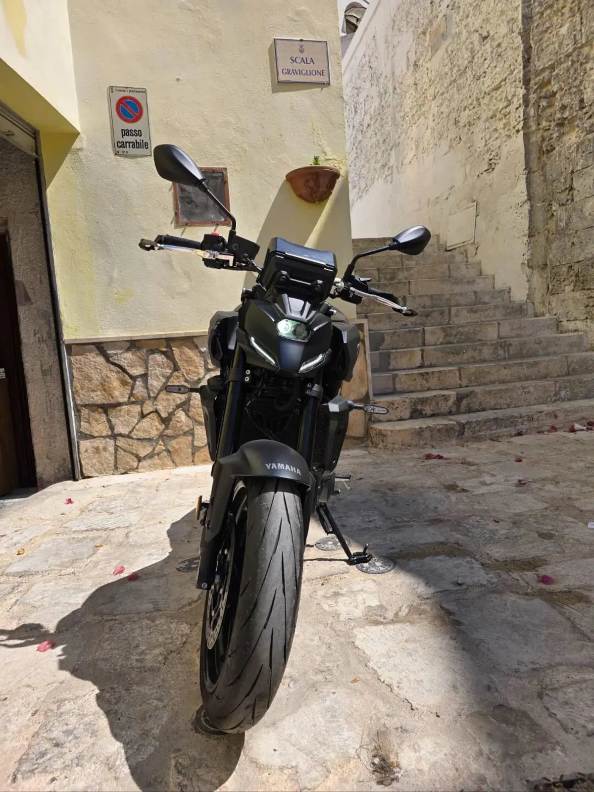 Yamaha MT-07 (2025 - 26)