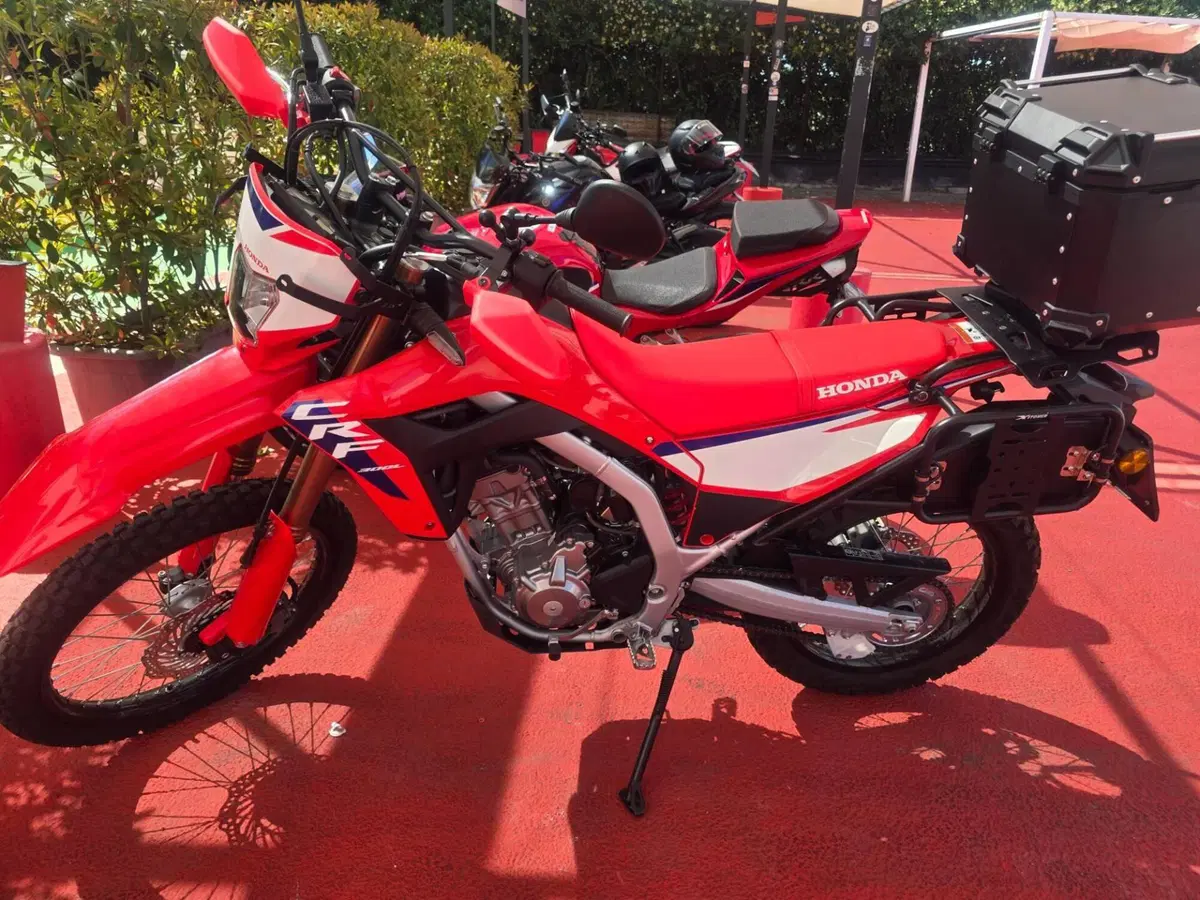Honda CRF 300L (2025 - 26) (6)