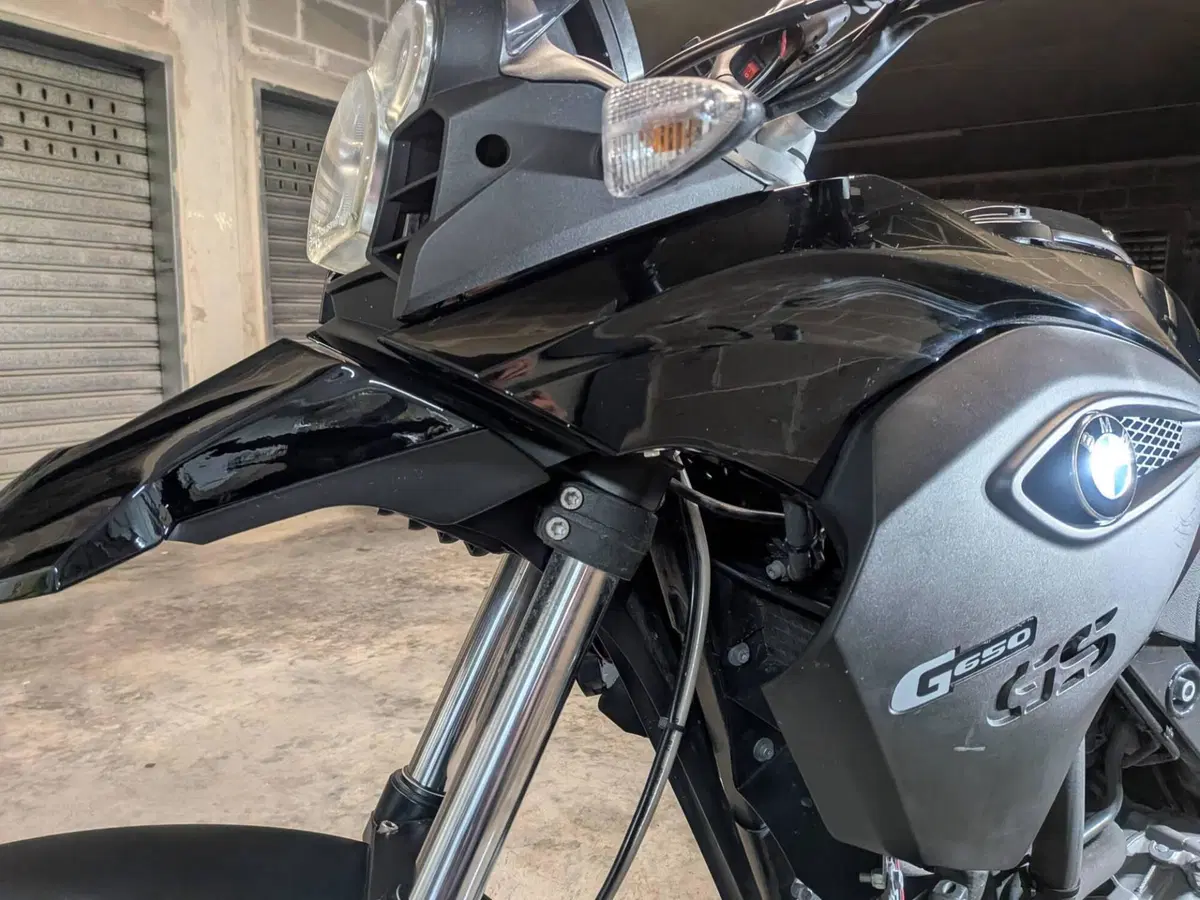 Bmw G 650 GS (2010 - 16) (6)