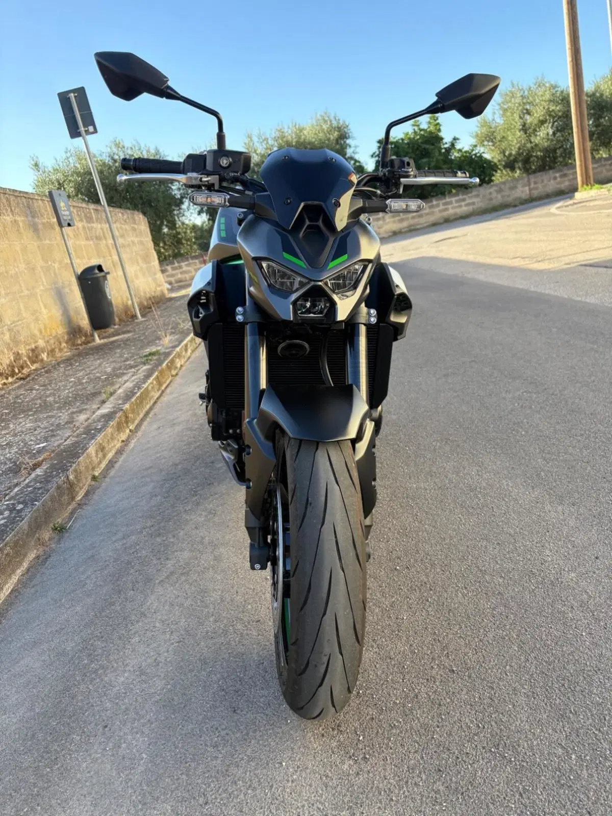Kawasaki Z 900 A2 Performance (2026) (2)