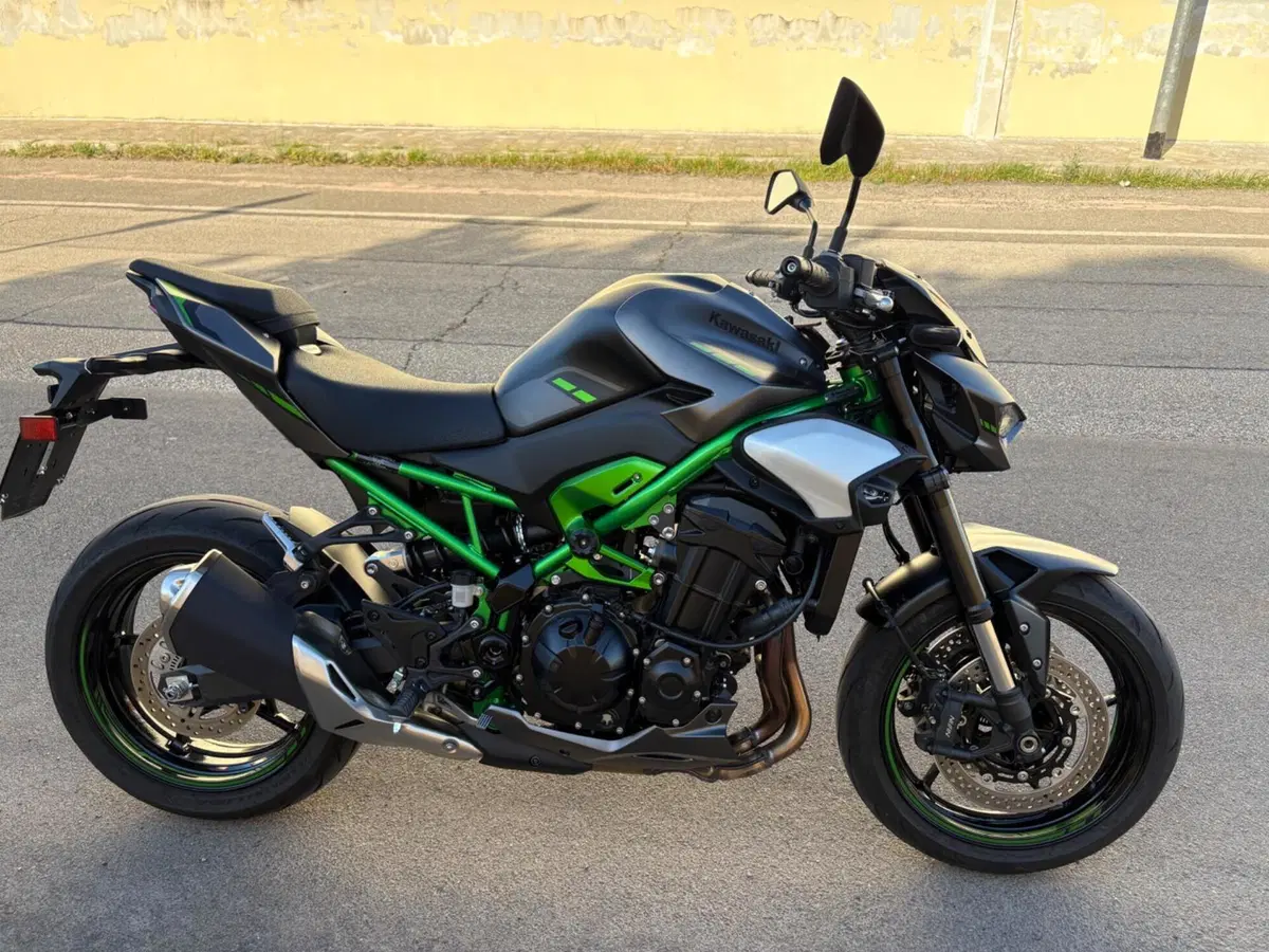 Kawasaki Z 900 A2 Performance (2026) (3)