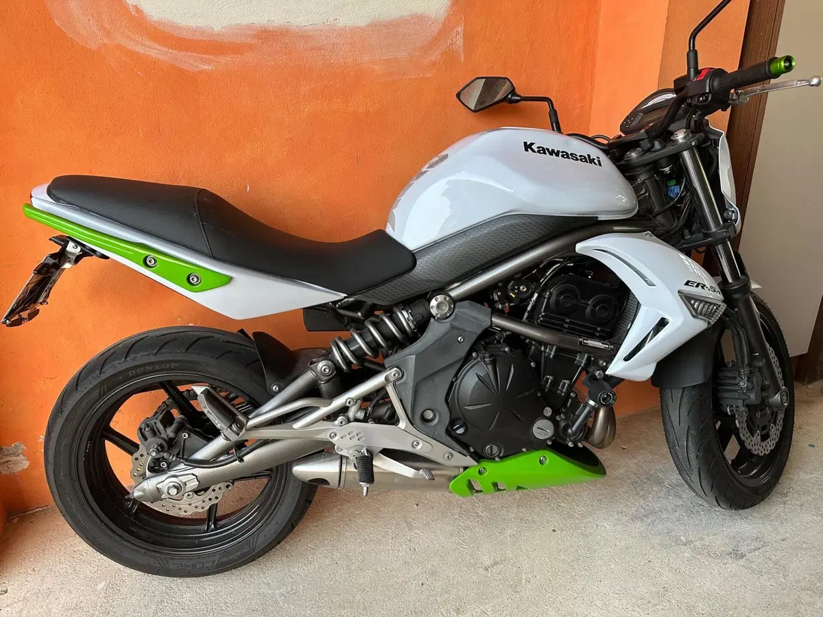 Kawasaki ER-6N (2009 - 11)