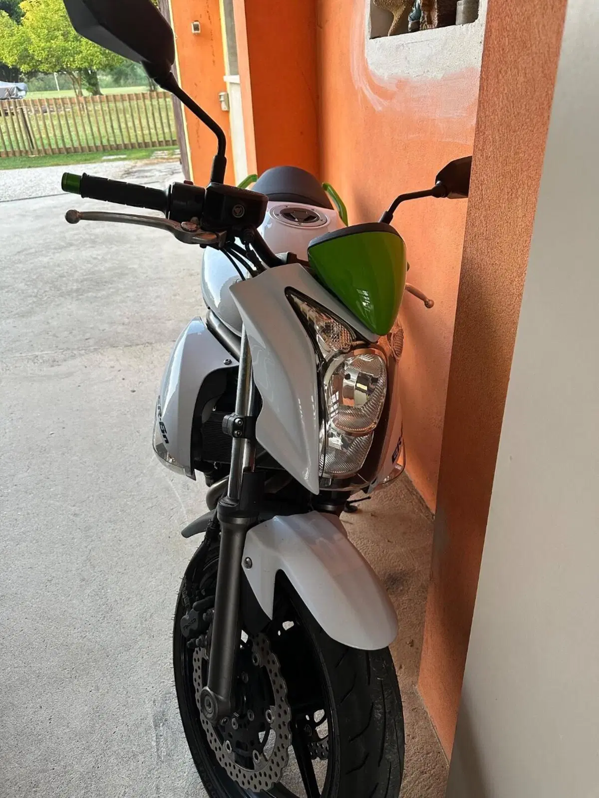 Kawasaki ER-6N (2009 - 11) (4)