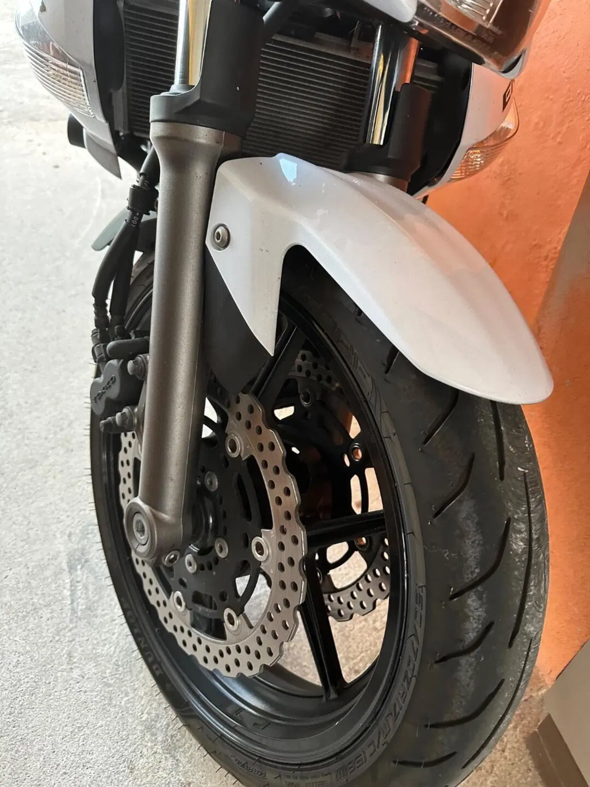 Kawasaki ER-6N (2009 - 11) (5)