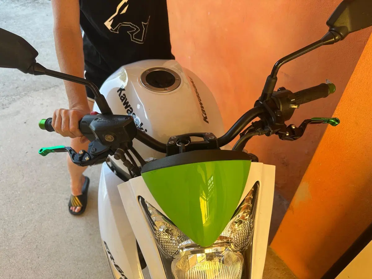 Kawasaki ER-6N (2009 - 11) (9)