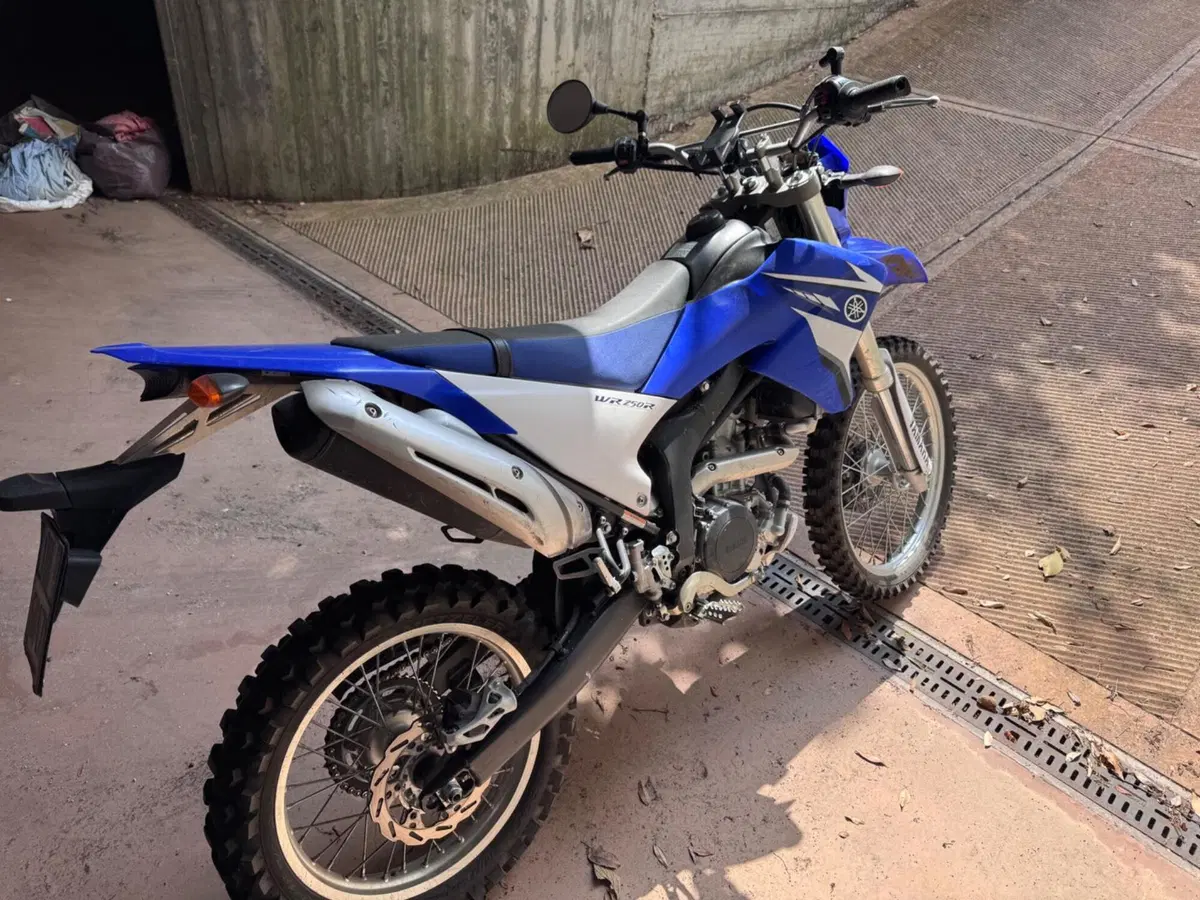 Yamaha WR 250 R (2008 - 13) (2)