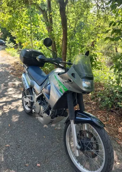 Kawasaki KLE 500 (2001 - 04) usata