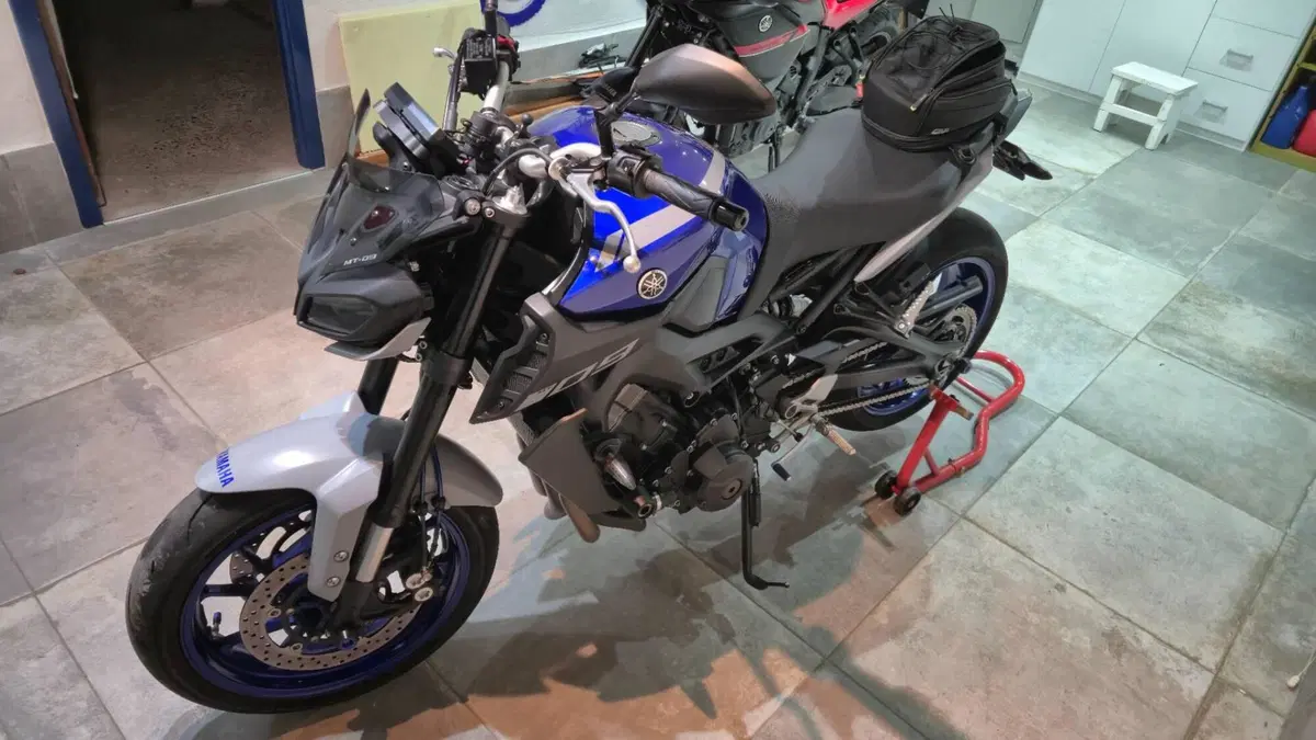Yamaha MT-09 (2017 - 20) (3)