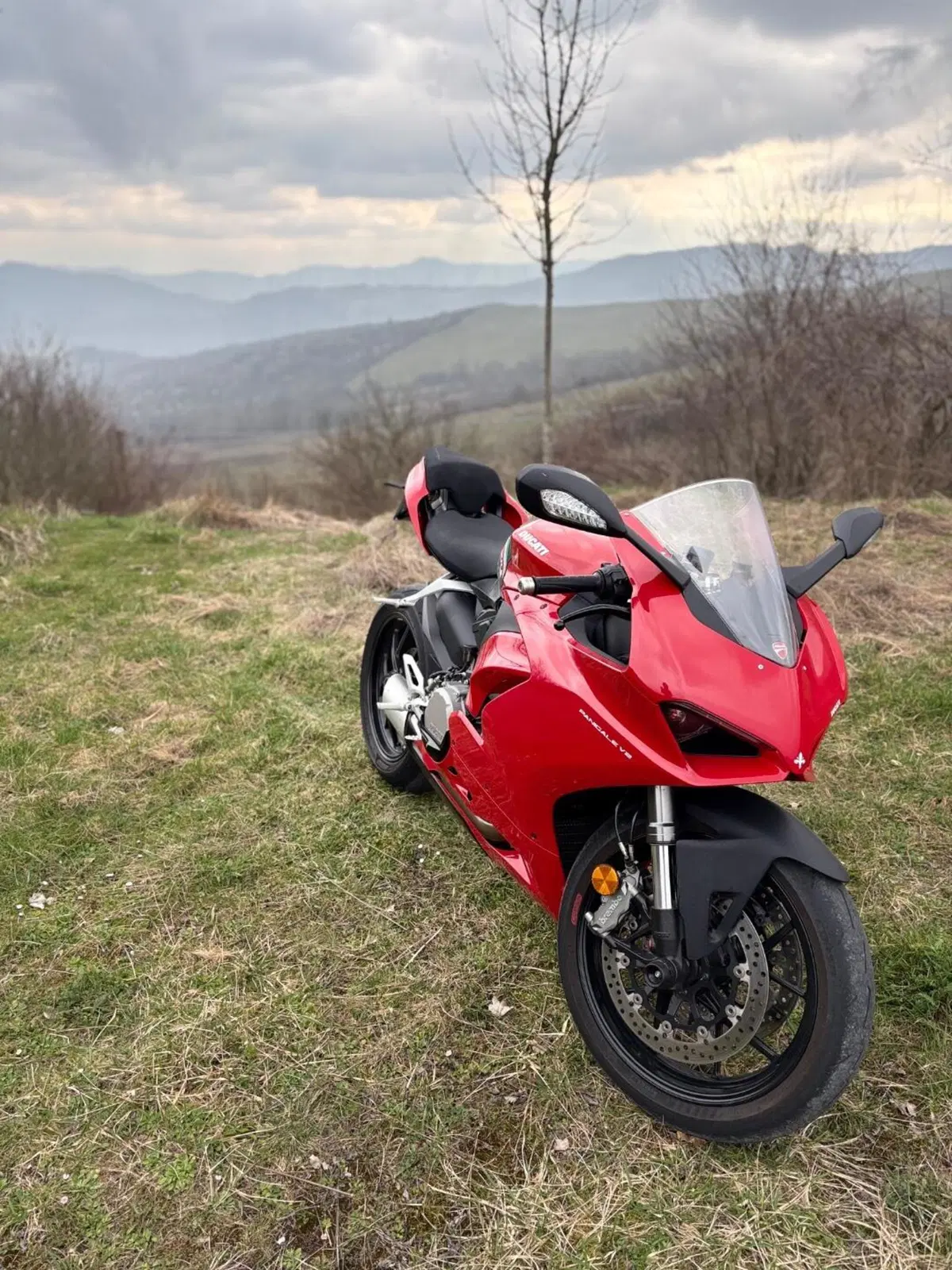 Ducati Panigale V2 (2021 - 24) (2)