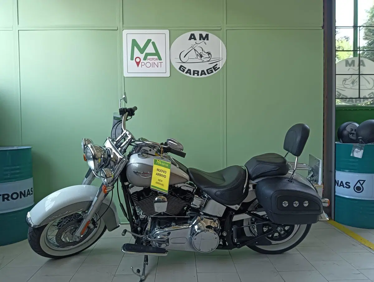 Harley-Davidson 1584 Deluxe (2007 - 08) - FLSTN (2)
