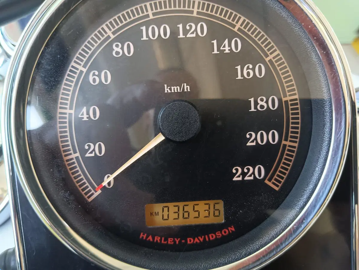 Harley-Davidson 1584 Deluxe (2007 - 08) - FLSTN (3)