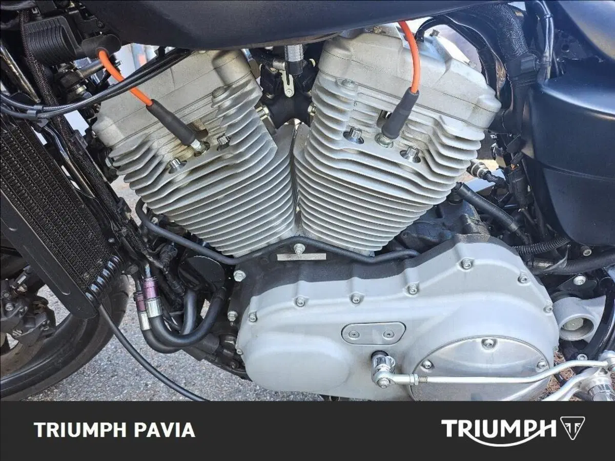 Harley-Davidson 1200 XR (2009 - 12) (12)